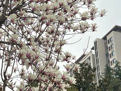 -木塔寺遗址生态公园
