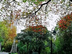 -苏州河梦清园环保主题公园