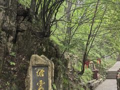 -塔云山