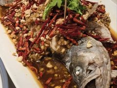 -杨氏青龙虾·羊蝎子(金盛路总店)