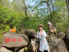 -茅兰沟国家森林公园