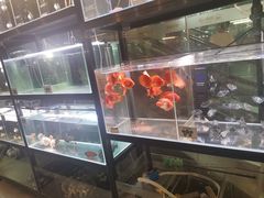 -宠物世家(仲盛世界商城店)