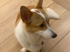 -天井·丑面包搭咖啡