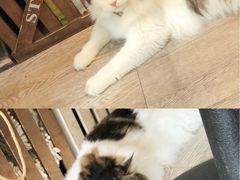 -小时光咖啡馆(北锣鼓巷店)