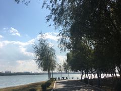 -丁香湖公园
