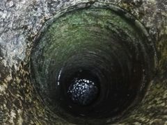 -郭师傅冰稀饭(人民路店)