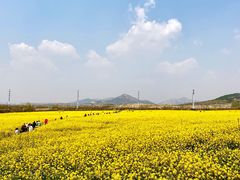 -西海岸生态观光园