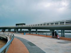 -演武大桥观景平台