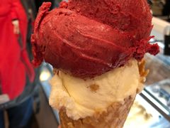 -Patagonia Chocolates(皇后镇店)