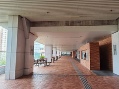 -香港大学