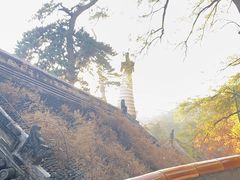 -潭柘寺景区