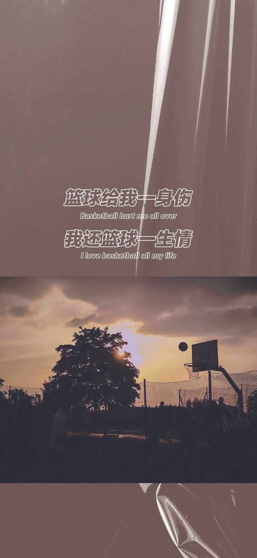 天天领红包篮球给我一身伤,我还篮球一生