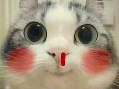 -银满斗(步行街总店)