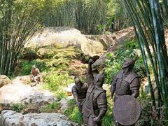 -铁山坪森林公园