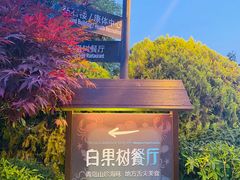 -青岛海景花园大酒店·白果树餐厅青岛菜