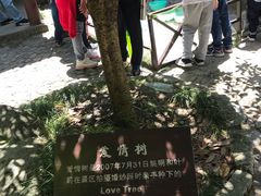 -太湖源风景区