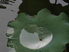 -浙江西子宾馆·牡丹厅