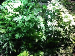 -肉串汪(望京店)