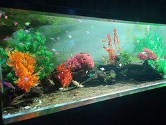 -秦皇岛新澳海底世界