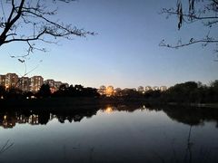 -塘沽森林公园