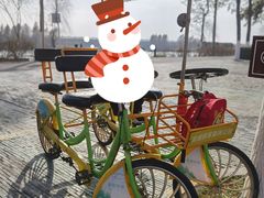 -合肥滨湖国家森林公园