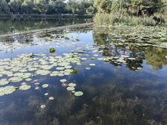 -承德避暑山庄景区