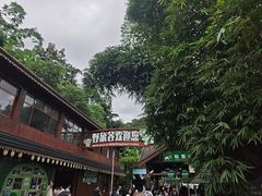 -野象谷景区
