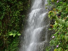 -鸿山公园