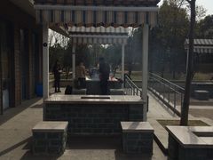 -吴淞炮台湾湿地森林公园烧烤区