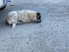 -金港秋名山·双层卡丁车场