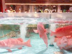 -阿伟海鲜楼·福建菜(延寿店)