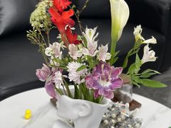 -XPEL旗舰店·汽车贴膜·隐形车衣·改色贴膜