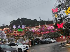 -枇杷园食为鲜火锅(南山店)