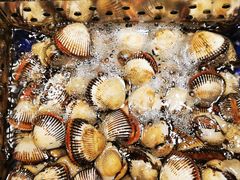 -高佳庄·舟山海鲜(海景旗舰店)