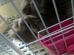 -UltraForce超源健身私教工作室(长楹天街精品店)