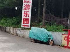 -黄椅山火山森林公园