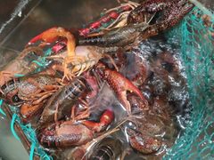 -陈氏龙虾·干锅鸭头