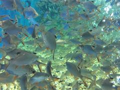 -成都浩海立方海洋公园