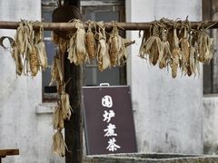 -同里国家湿地公园