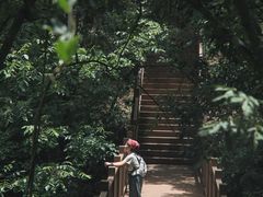 -昆明青龙峡风景区