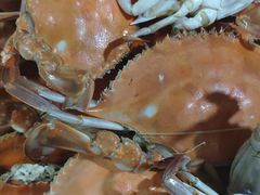 -晓伟海鲜家常菜