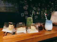 -柴犬高等学院·狗咖·柴犬售卖·宠物训练