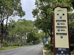 -东平国家森林公园