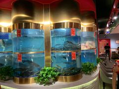 水产区-蜀滋香鲜鱼美蛙火锅(339店)