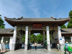 -团结湖公园