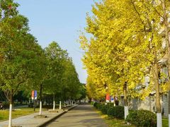 -杭州电子科技大学(下沙校区)