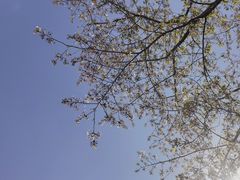 -上海辰山植物园