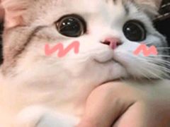 -S Team剧情密室(杭州龙翔桥店)