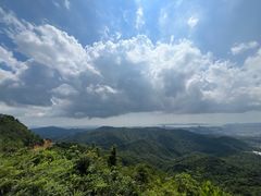 -田心森林公园