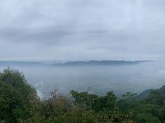 -缙云山景区